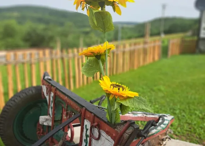 Semesterbostad Sofi *