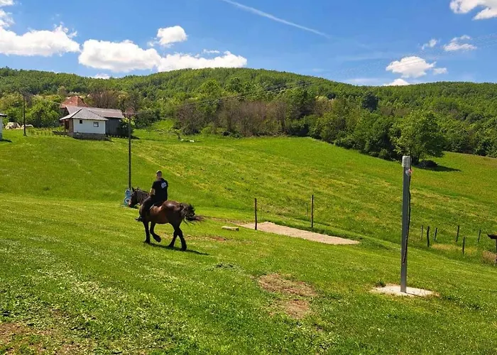 Semesterbostad Sofi Zlatibor